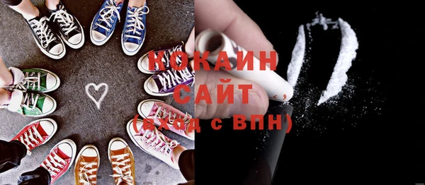 гашик Алзамай