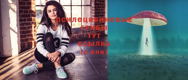 спайс Алексеевка