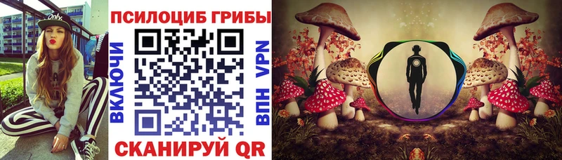 продажа наркотиков  Сатка  Псилоцибиновые грибы MAGIC MUSHROOMS 