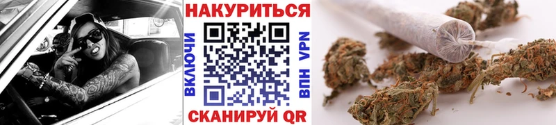 Конопля SATIVA & INDICA  Сатка 